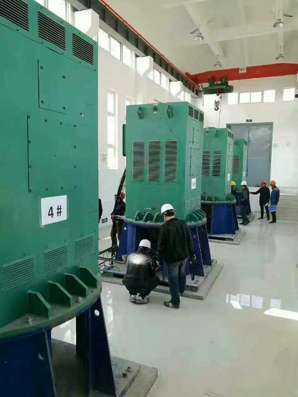 青田某污水处理厂使用我厂的立式高压电机安装现场