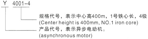 西安泰富西玛Y系列(H355-1000)高压青田三相异步电机型号说明